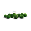 1-2 cm marimo, mossball